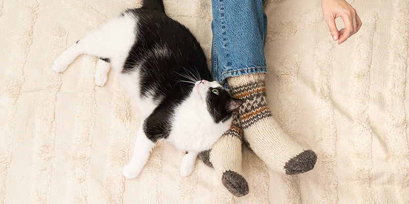 夜のスマホが「眠れない脳」をつくる理由と対策