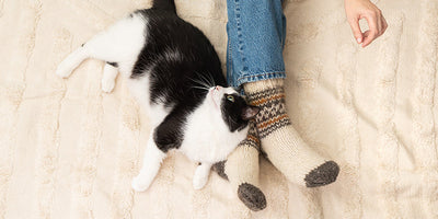 夜のスマホが「眠れない脳」をつくる理由と対策