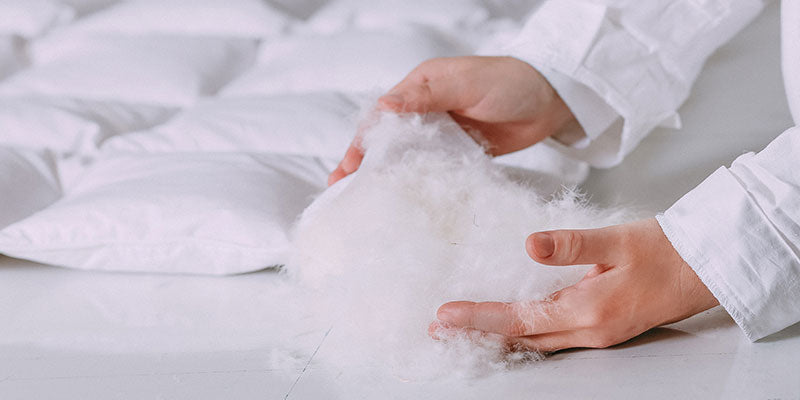 ダック?グース?羽毛の種類と選び方を、昭和西川社員が徹底解説!