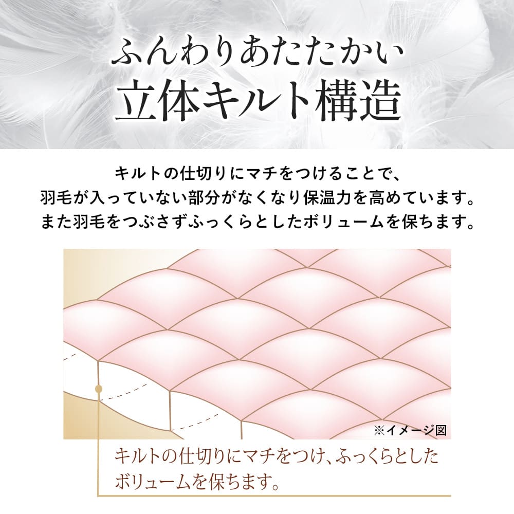 新生活応援】羽毛ふとん日本製チェコ産ホワイトマザーグースダウン93