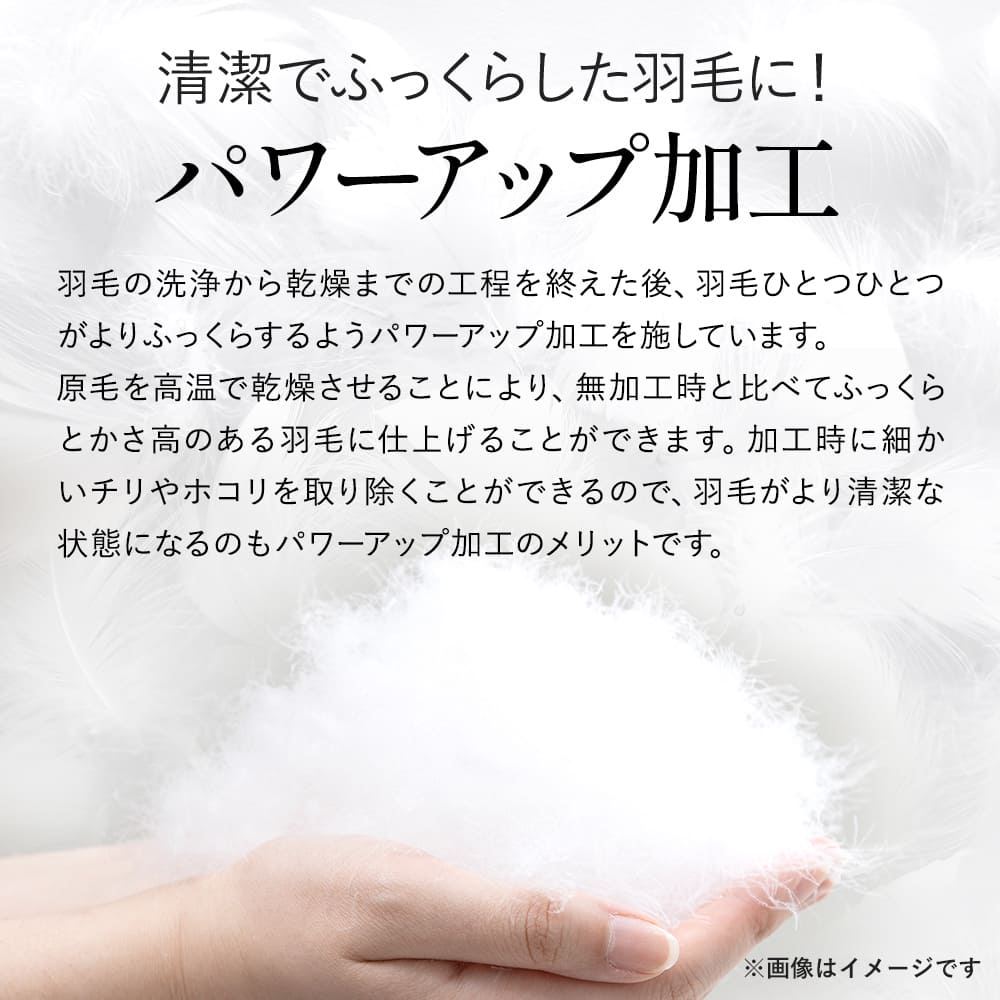 新生活応援】羽毛ふとん日本製ハンガリー産ホワイトマザーグースダウン