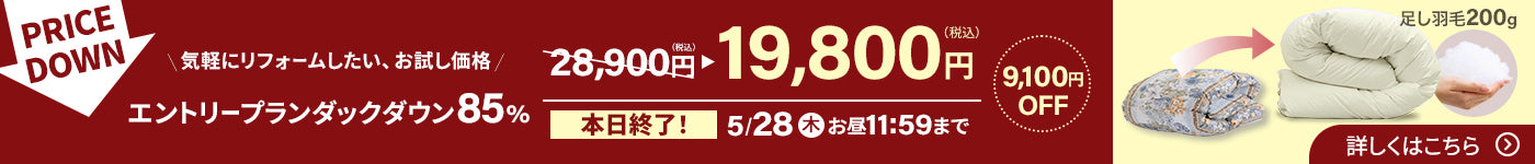 エントリープラン9,100円OFF